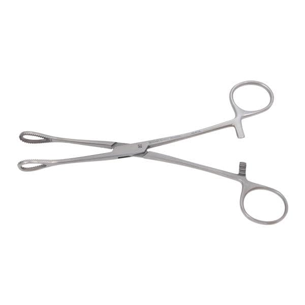 Sponge Holding Forcep 7" Ea, 12 EA/CA