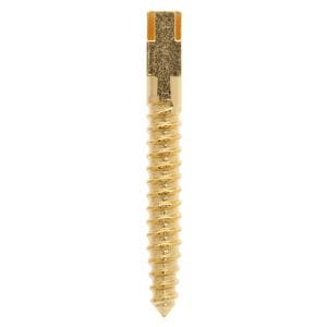 Screw Posts Gold Plated Refill X-Long 12/Bx