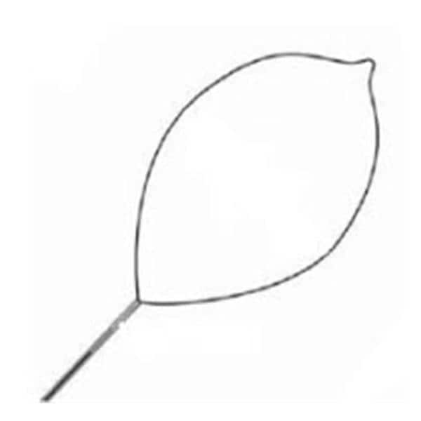 Olympus Polypectomy Snare 230cm Oval Small 16mm Soft Loop Wire Strl Disp 10/Ca