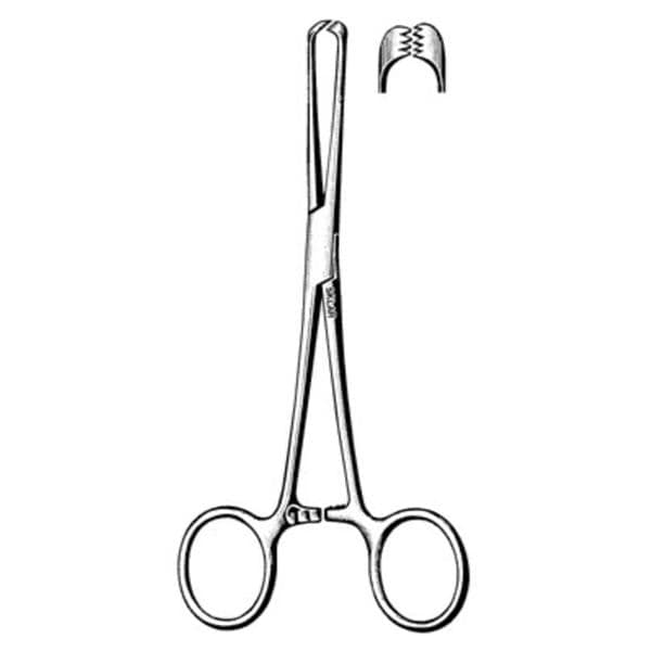 Allis Tissue Forcep 5-1/2" Ea