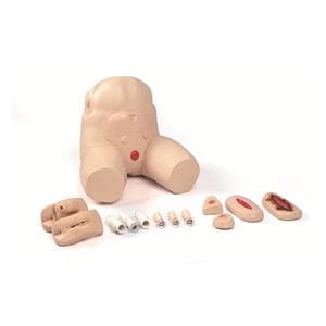 Pelvis/Urological/Rectal/Gastrointestinal Training Simulator Ea