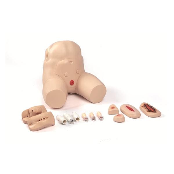 Pelvis/Urological/Rectal/Gastrointestinal Training Simulator Ea
