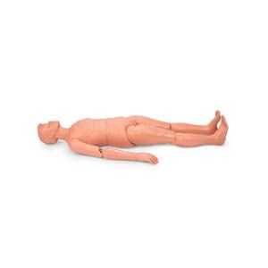 Patient Care Adult Manikin Ea