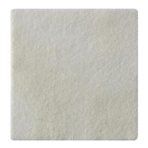 Biatain Ag Cal Alg/CMC/Ionic Slvr Alginate Ag Dressing 6x6 Strl NAdh Wt