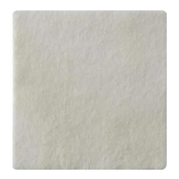 Biatain Ag Cal Alg/CMC/Ionic Slvr Alginate Ag Dressing 6x6 Strl NAdh Wt