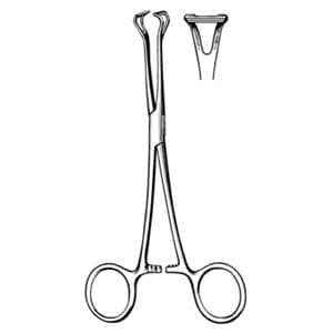 Babcock Grasping Forcep 6-1/4" Ea