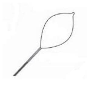 Olympus Polypectomy Snare Oval Small 16mm Firm Loop Wire Sterile Disp 10/Ca