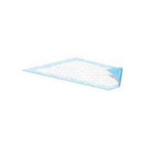 Drisorb Incontinence Underpad Unisex 23x36" Heavy Blue 10/Bg, 15 BG/CA
