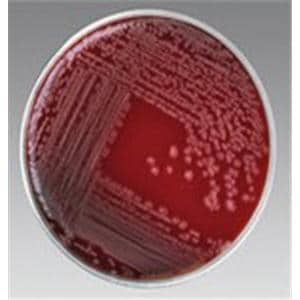 Culture Mueller-Hinton Agar Plate 100/Pk