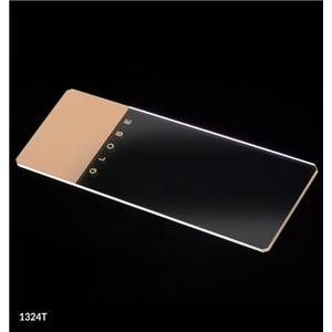 Frosted Microscope Slide 25x75mm Tan 1440/Ca