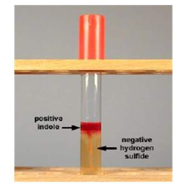 BBL Dehydrated Media SIM: Sulfide Indole Motility 500g Ea