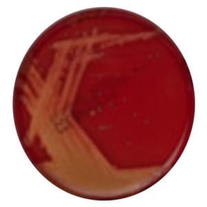 Monoplate Agar Columbia CNA w/ 5% Sheep Blood Monoplate 10/Pk