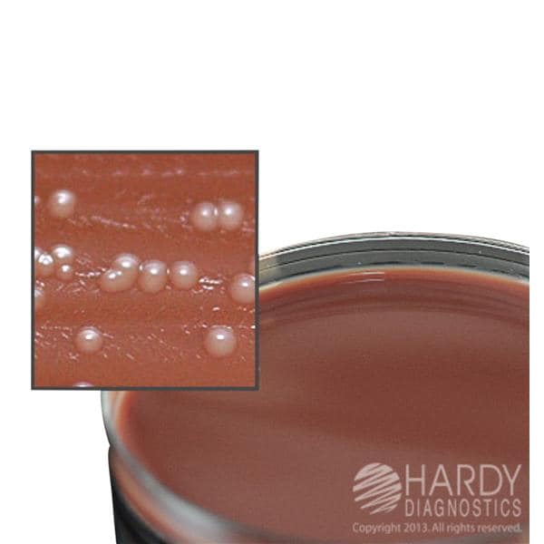 Neisseria Gonorrhoeae Culture Plate Martin-Lewis Agar 15x100mm 10/Pk