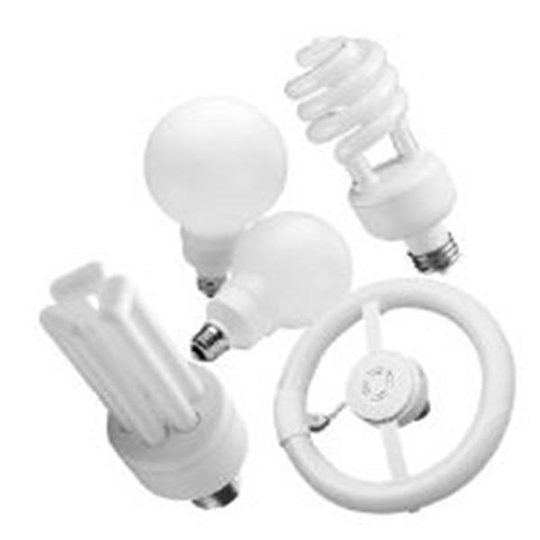 Bulb Fluorescent Bulbtronics 32W Ea Ea