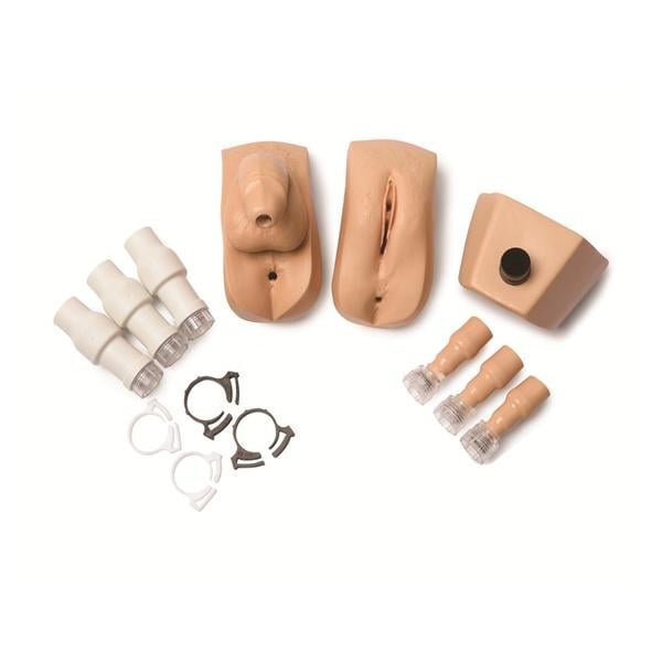 Male/Female Genitalia Kit Adult Manikin Ea