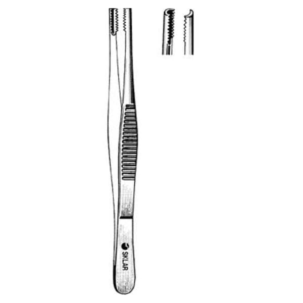 Brown Tissue Forcep 6" Ea