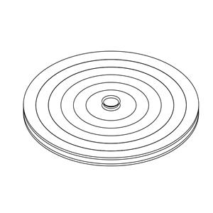 Nasal Septal Button _