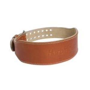 Weight Lifting Belt Ea