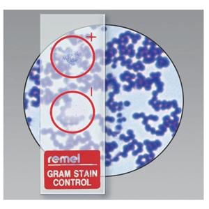 QC-Slide Control Slide Gram Stain Glass 10/Pk