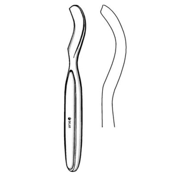 McGlamry Elevator 6-1/2" Stainless Steel Ea