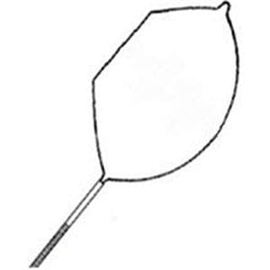 Singular Polypectomy Snare 230cm Crescent Medium Firm Loop Wire Strl Disp 10/Bx