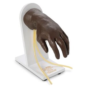 Life/form IV Hand Training Simulator Ea