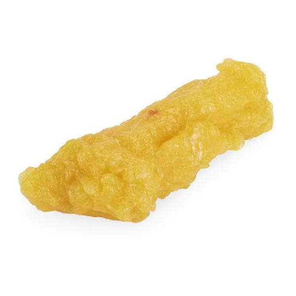 Life/form Body Fat Anatomical Model Ea