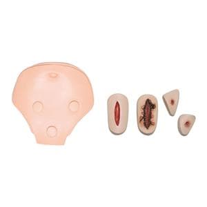 Health Care Catheterization & Enema Trainer In-Service Adult Wounds Ea