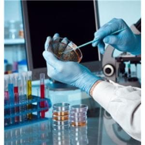 Hemoglobin Standard Reagent 120mL Ea