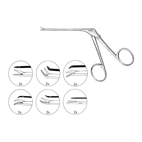 House Alligator Forcep 2-7/8" Ea