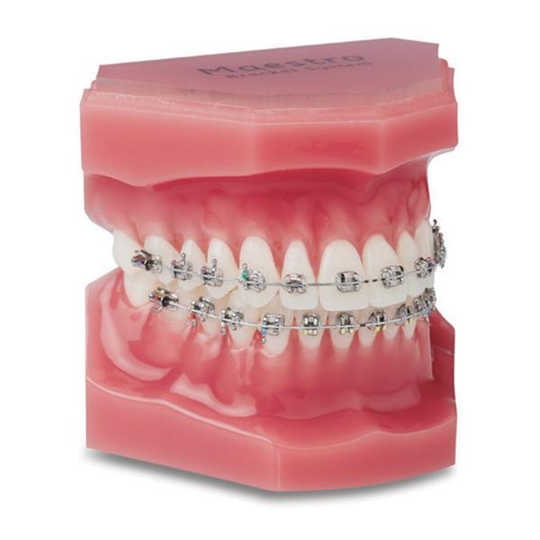 Maestro® Mini-Twin® Roth Rx Bracket .022 UR2 8T 9A 0O 10/Pk