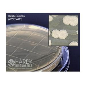 TSA: Trypticase Soy Agar Plate 10/Pk