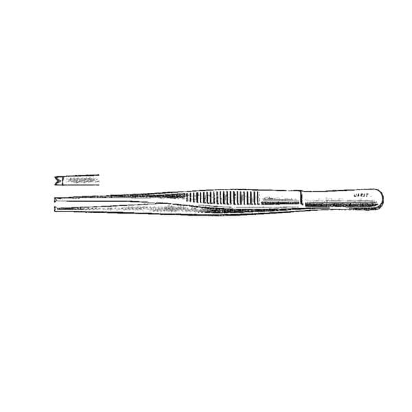 Tissue Forcep 6" Ea
