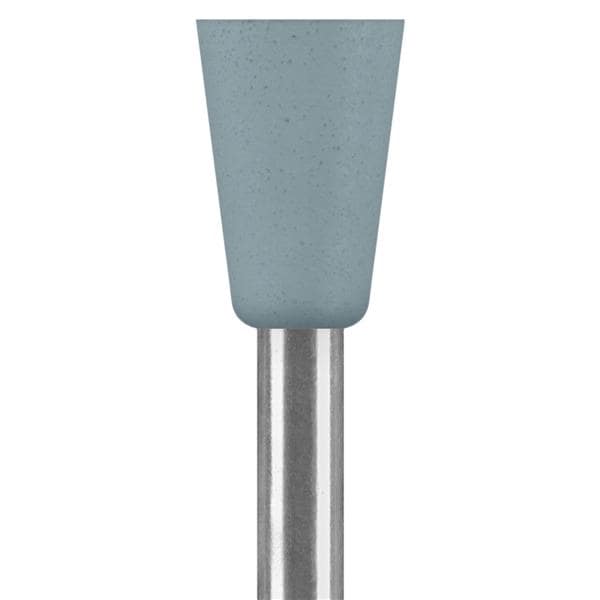 Universal Polisher 10/Pk