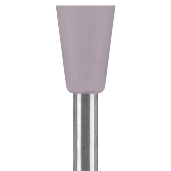 Universal Polisher 10/Pk