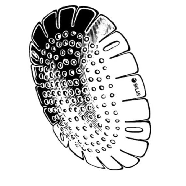 Perforated Eye Shield