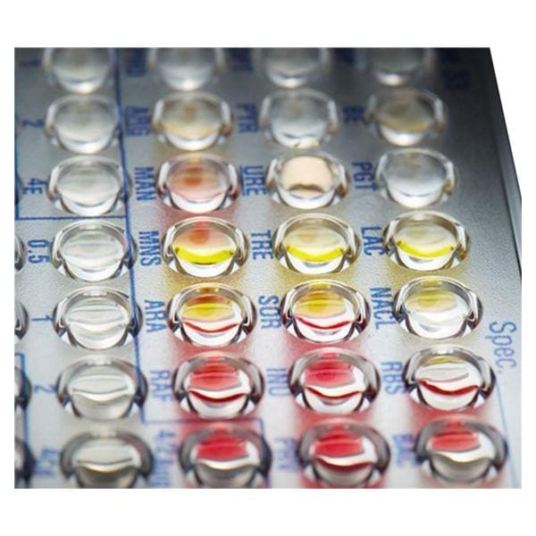 Microscan Negative MIC 53 Panel Ea