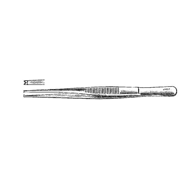 Tissue Forcep 6" Ea