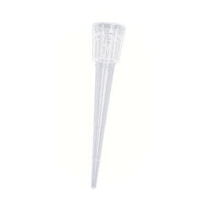 Pipette Tip 0.1-20uL Sterile 960/Bx