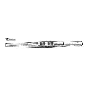 Tissue Forceps 5-1/2" Ea