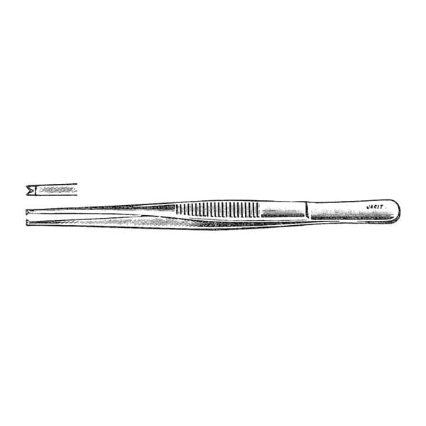 Tissue Forceps 5-1/2" Ea