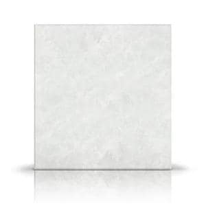 Fibracol Plus Collagen Dressing 4x8-3/4