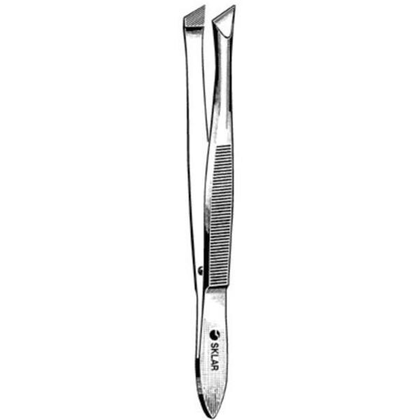 Bergh Cilia Forcep 4.5" 10/Ca