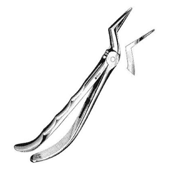 Sklar Extractor Forceps Non-Sterile Ea