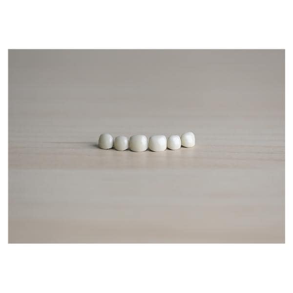 ACERO Crowns Size 1 Primary Upper Right Lateral 1/Bag Ea - ACERO Crowns Size 1 Primary Upper Right Lateral 1/Bag Ea - Image 1