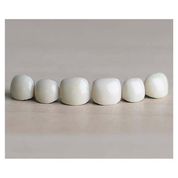 ACERO Crowns Size 2 Primary Upper Right Lateral 1/Bag Ea - ACERO Crowns Size 2 Primary Upper Right Lateral 1/Bag Ea - Image 1