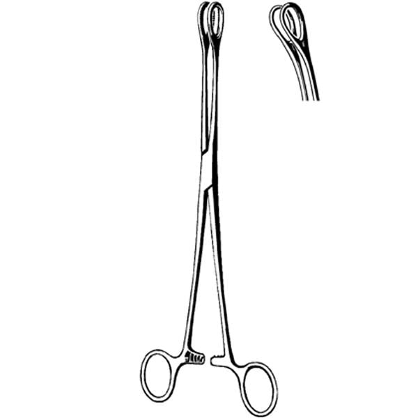 Foerster Forceps Curved 9.5" Blunt Stainless Steel Sterile 25/Ca
