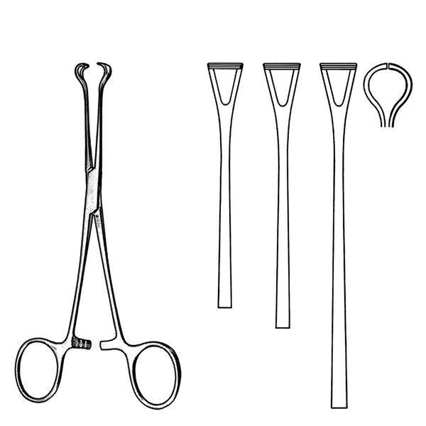Babcock Atraumatic Forceps Straight 7-1/4" Non-Sterile Ea
