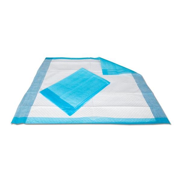 Underpad 23x24" Absorbent 200/Cs