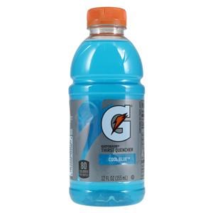 Gatorade Drink Drink Cool Blue 12oz Bottle 24/Cs